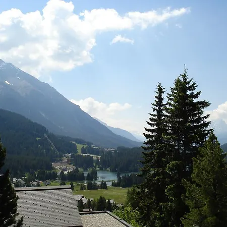 Foil Cotschen Lejlighed *