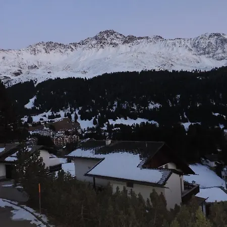 Foil Cotschen 바벨라